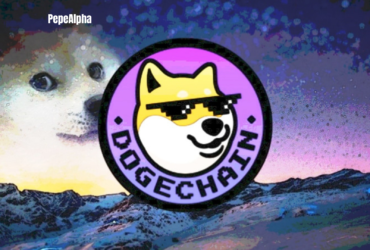 Dogechain: A Comprehensive Guide to the Blockchain