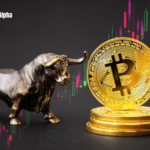 Bitcoin Bulls Attribute Rally to Limited Coin Supply