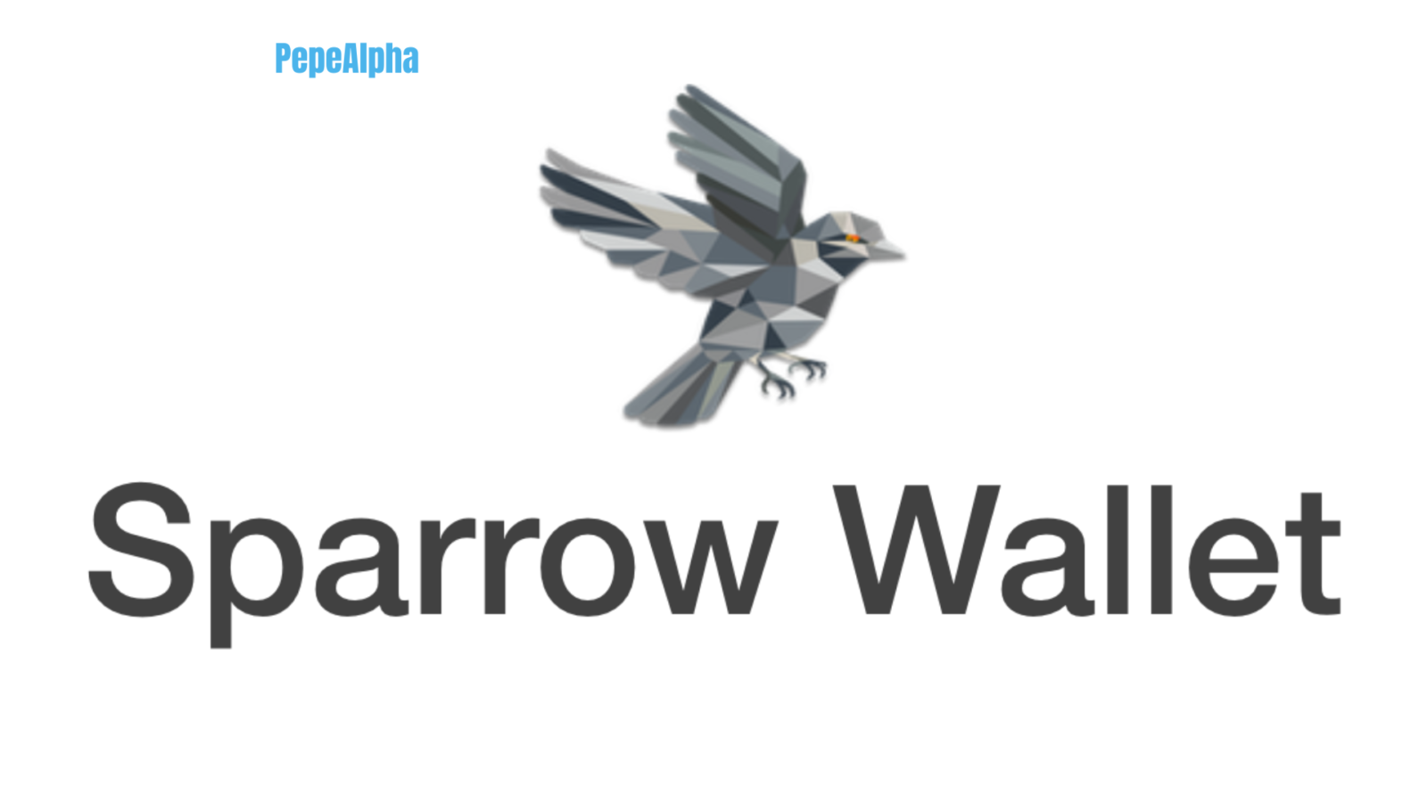 Sparrow Wallet: Something super exciting