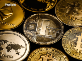 How to Secure Your Crypto Assets and Funds?
