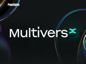 MultiversX: A highly scalable, fast and secure blockchain platform
