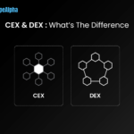 CEX VS DEX: The backbone of the crypto world!