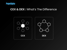 CEX VS DEX: The backbone of the crypto world!