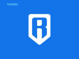Ronin Network: Diving into the awesome world
