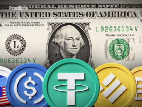 Dive deep into the wild world of stablecoins