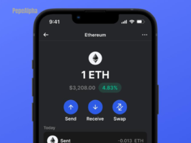 Ethereum Wallet: Diving into the fascinating world