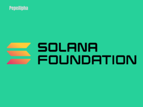 Solana Foundation: offensive memes run wild on their turf