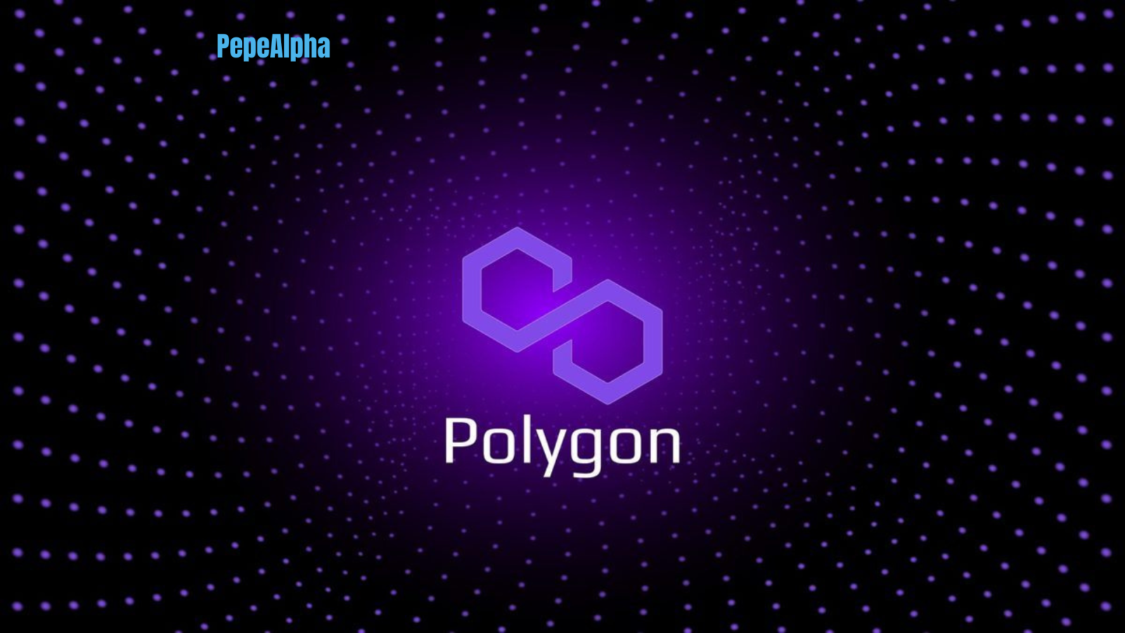 Polygon: Dive into the fascinating world