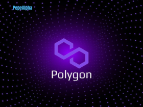 Polygon: Dive into the fascinating world