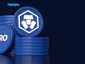 Cronos: Let's take a look!