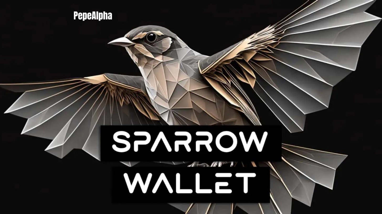 Sparrow Wallet is seriously amazing