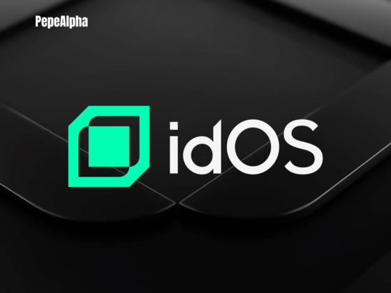 IDO: dive into the wild world of Initial Dex Offerings