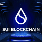 Exploring Sui Network: The Best of the Best