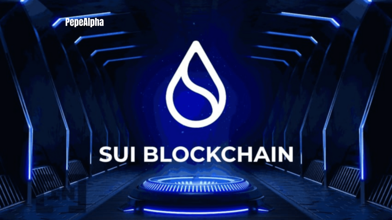 Exploring Sui Network: The Best of the Best