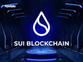Exploring Sui Network: The Best of the Best