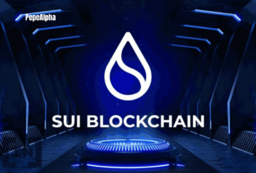 Exploring Sui Network: The Best of the Best