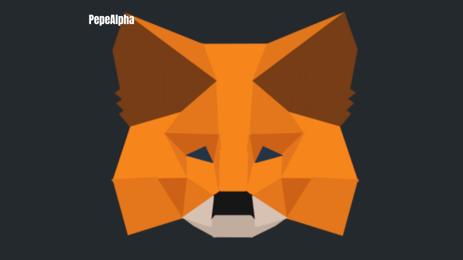 MetaMask: Your Easy Gateway to the Cryptoverse