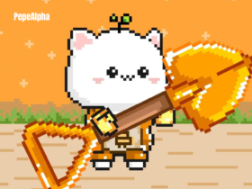 Bitcoin Cats: The Purr-fect #1CatChain Adventure