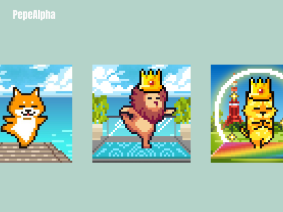 Yogapetz: everything you need to know