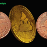 Hop Into Crypto Fortune: The Tale of the $SOL Degen