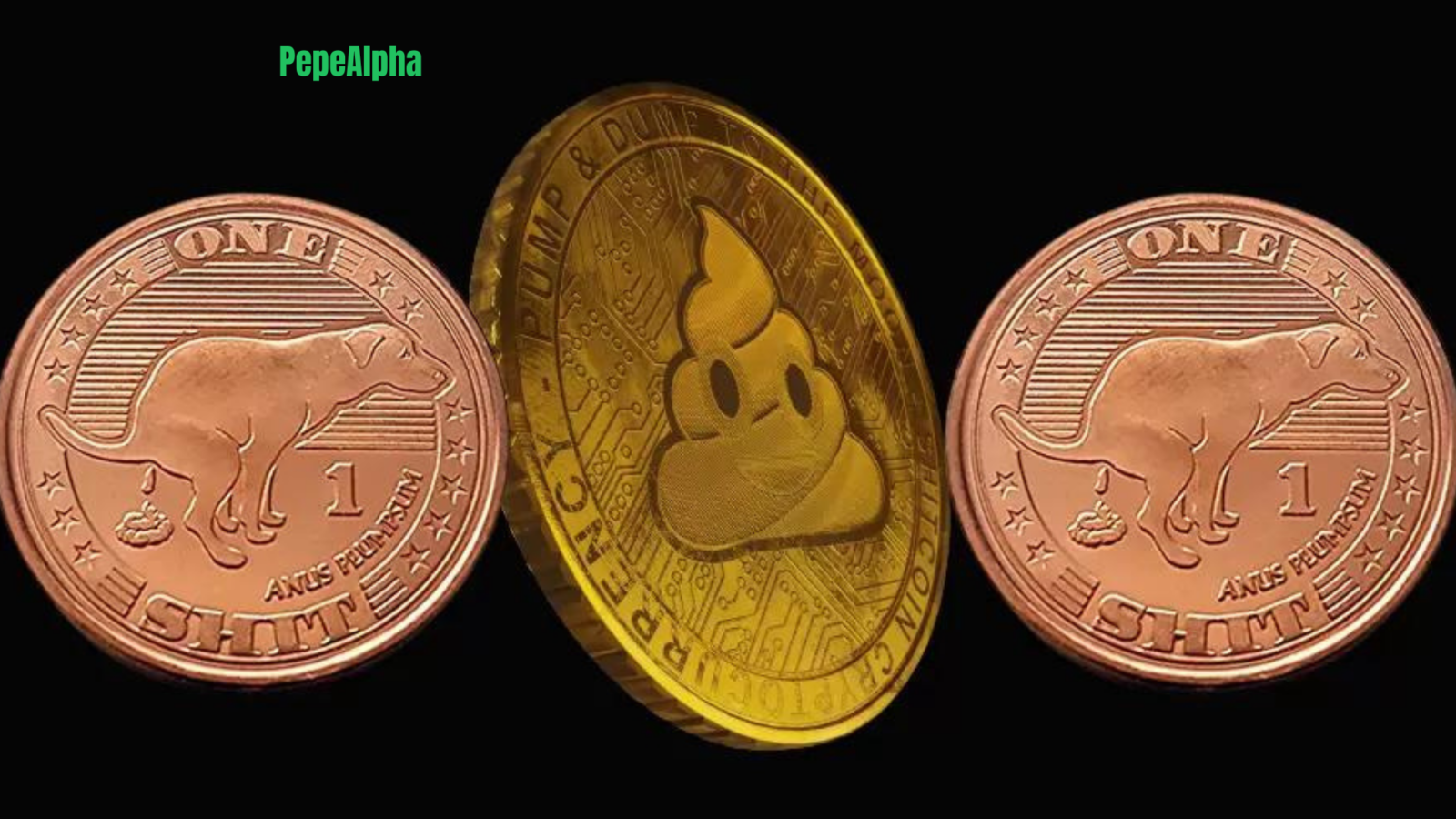 Hop Into Crypto Fortune: The Tale of the $SOL Degen