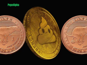 Hop Into Crypto Fortune: The Tale of the $SOL Degen