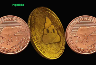 Hop Into Crypto Fortune: The Tale of the $SOL Degen