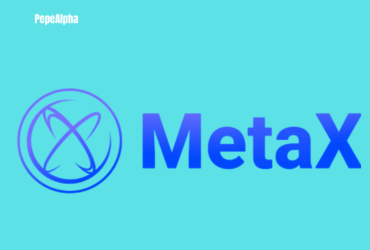 MetaX: Get ready to dive into the enchanted world