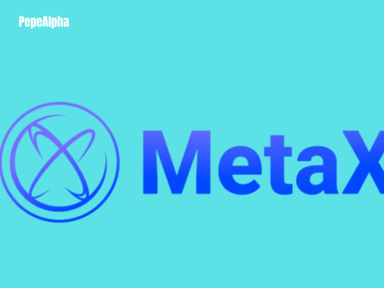 MetaX: Get ready to dive into the enchanted world