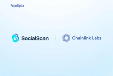 SocialScan: Dive into the world of trust and transparency