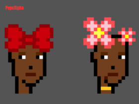 Exploring the World of: Ordinal Punks