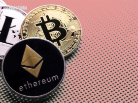 Altcoins: Whirlwind journey through the exciting world