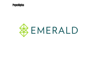 The Emerald Company's Journey to Transparency and Security