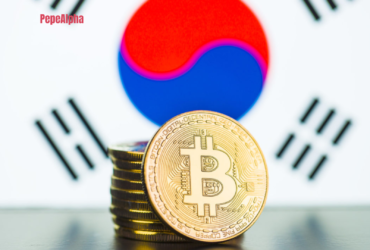 The Crypto Exchange Massacre: A Tale of Survival and Regulation