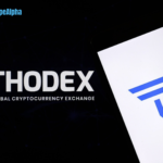 Thodex: the risks inherent in the world of cryptocurrency