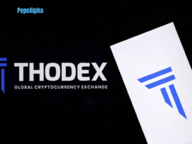 Thodex: the risks inherent in the world of cryptocurrency