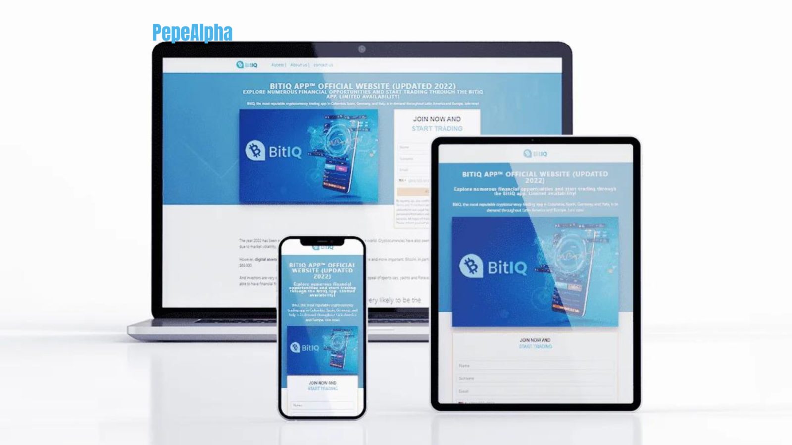 BitIQ: access to the world of digital assets