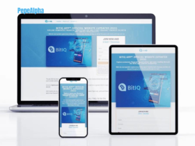 BitIQ: access to the world of digital assets