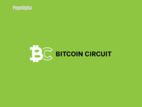 Bitcoin Circuit: the cryptocurrency world