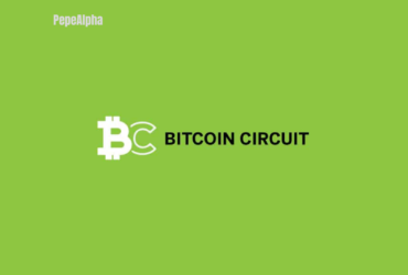 Bitcoin Circuit: the cryptocurrency world