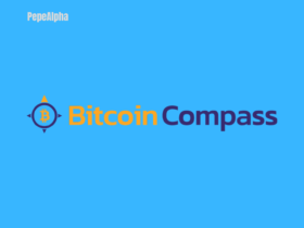 Bitcoin Compass: your gateway to successful bitcoin trading