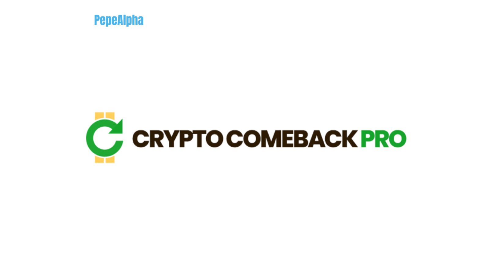 Crypto Comeback Pro: your gateway to success in the world of crypto!