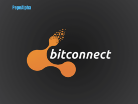BitConnect: cautionary tale in the wild world of cryptocurrency