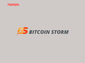 Bitcoin Storm: the waves of the cryptocurrency market