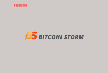 Bitcoin Storm: the waves of the cryptocurrency market