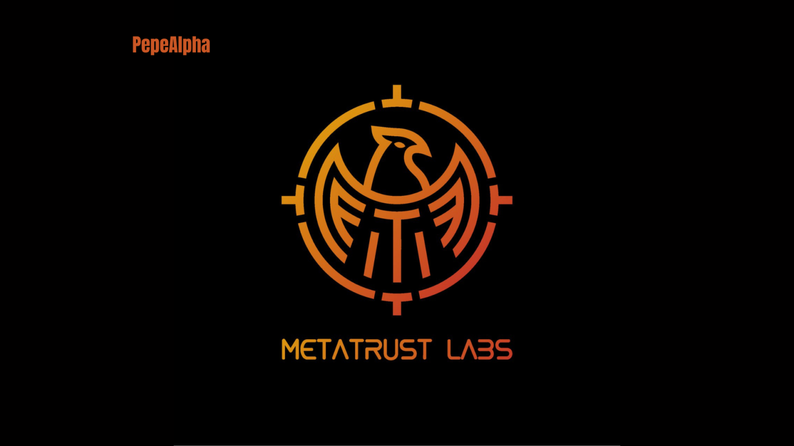 MetaTrust: the wild and wonderful world of Web3