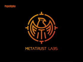 MetaTrust: the wild and wonderful world of Web3
