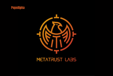 MetaTrust: the wild and wonderful world of Web3