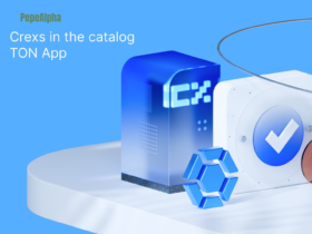 Crexs Wallet: Keep your assets safe and secure