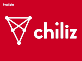 Chiliz (CHZ): the backbone of the Socios platform
